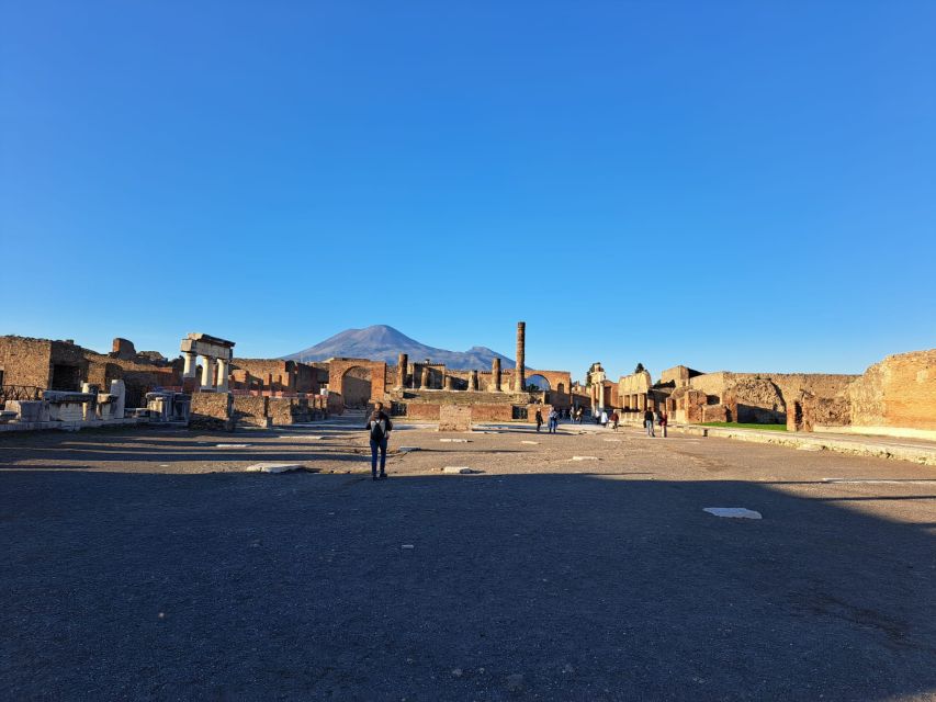Day Trip to Pompeii & Vesuvius from Naples - Hotel pickup and the private minivan