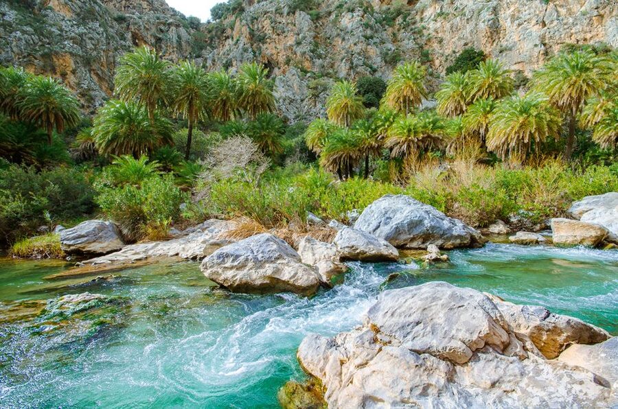Day Trip to Preveli & Damnoni Beach & Rethymno City Tour - Why Preveli is the day’s main event