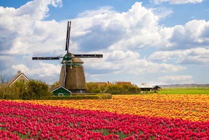 Day Trip to Zaanse Schans, Edam, Volendam and Marken from Amsterdam - Zaanse Schans: the postcard opening