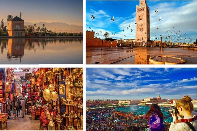 Day Trips from Agadir to Marrakech with Amazing guide - Menara Gardens and Majorelle Garden