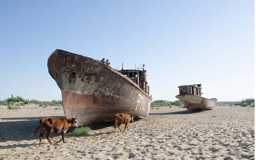 Daytrip from Khiva to Aral Sea Cemetery of Ships. All in one - What makes this day trip worth the long road