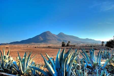 Daytrip to Cabo de Gata–Nijar Natural Park - Why Cabo de Gata feels different from the Costa del Sol