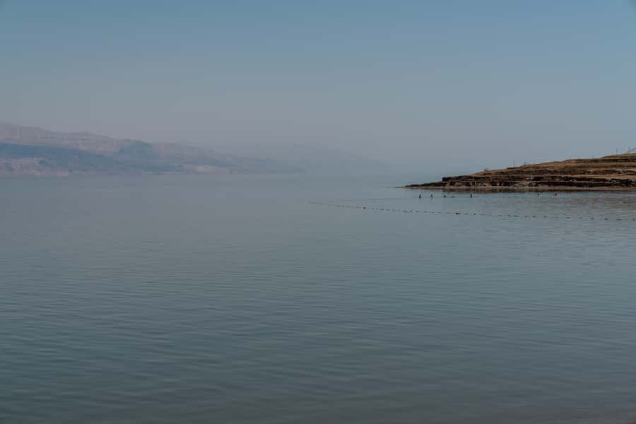 Dead Sea Full-Day Trip from Tel Aviv - Guides, coaches, and the value of organized transport