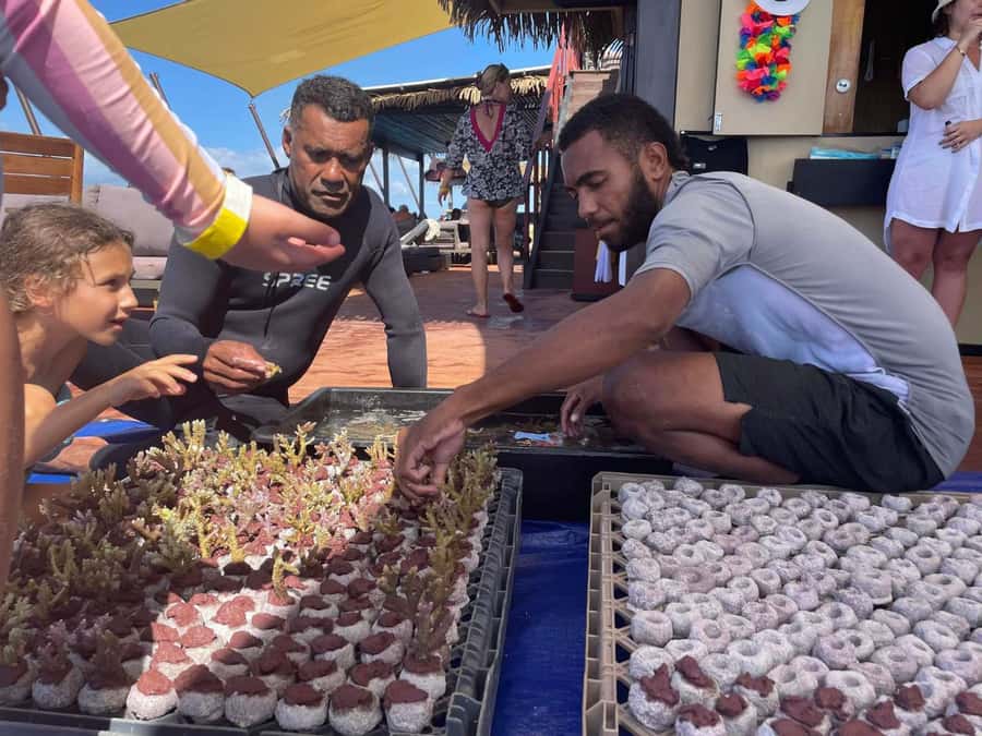 Denarau: Seventh Heaven Floating Bar Day Trip - Should you book Seventh Heaven?
