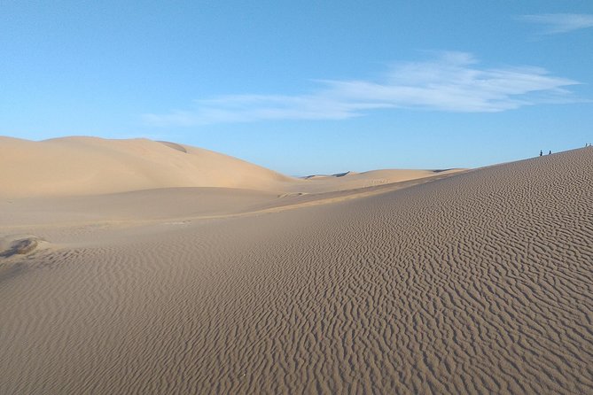 Desert and Wild Beach Day Trip with Meal - Guides, vehicle, and private format