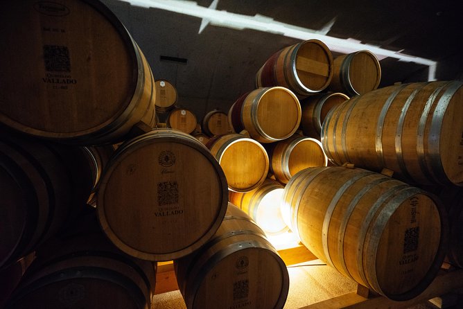 Douro Valley Private Day Trip including Boat Ride & Wine Tasting - What the private format is really worth