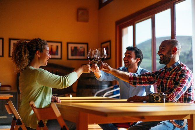Douro Valley Private Day Trip including Boat Ride & Wine Tasting - Choosing the right guide and pace