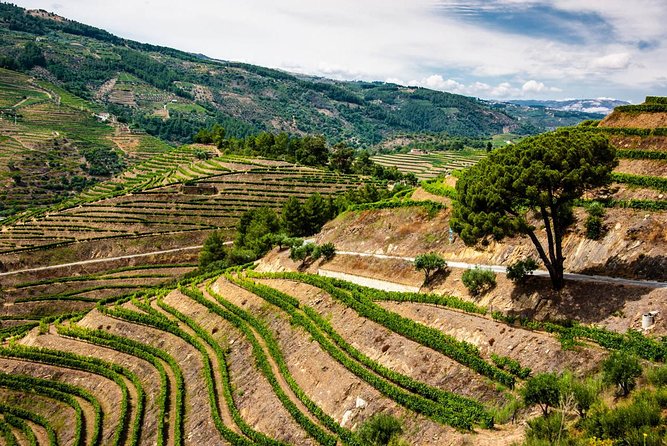 Douro Valley Private Day Trip including Boat Ride & Wine Tasting - Who should book this Douro day trip?