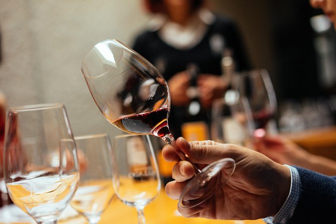 Douro Valley Private Day Trip including Boat Ride & Wine Tasting - Viewpoints above the Douro