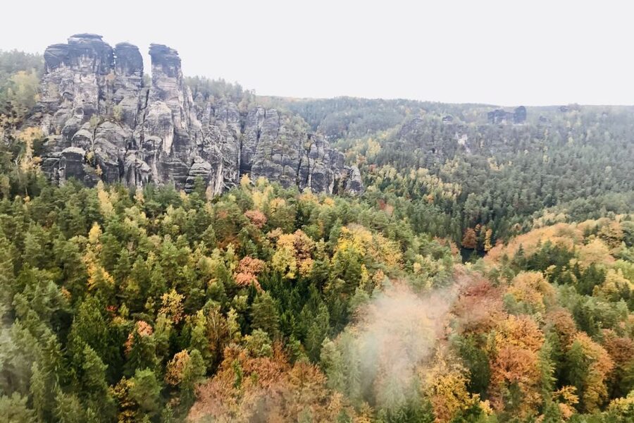 Dresden: Hassle-free trip to Bohemian and Saxon Switzerland - Transport and timing keep the day manageable