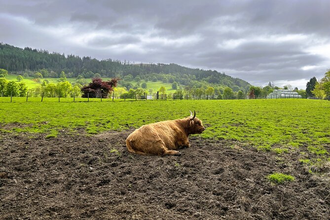 Edinburgh: Loch Ness, Glencoe & The Highlands - Fort Augustus is your main Loch Ness stop