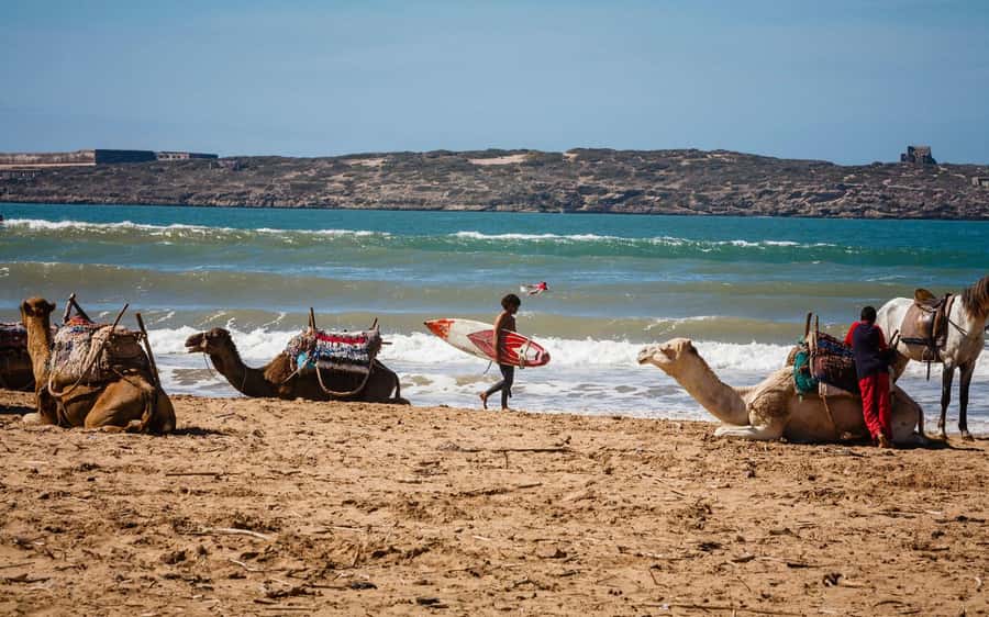 Essaouira Atlantic coast Day trip from marrakech - Why Essaouira makes a good break from Marrakech