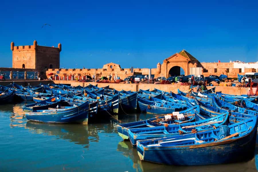 Essaouira Atlantic coast Day trip from marrakech - Who should book this Essaouira day trip?