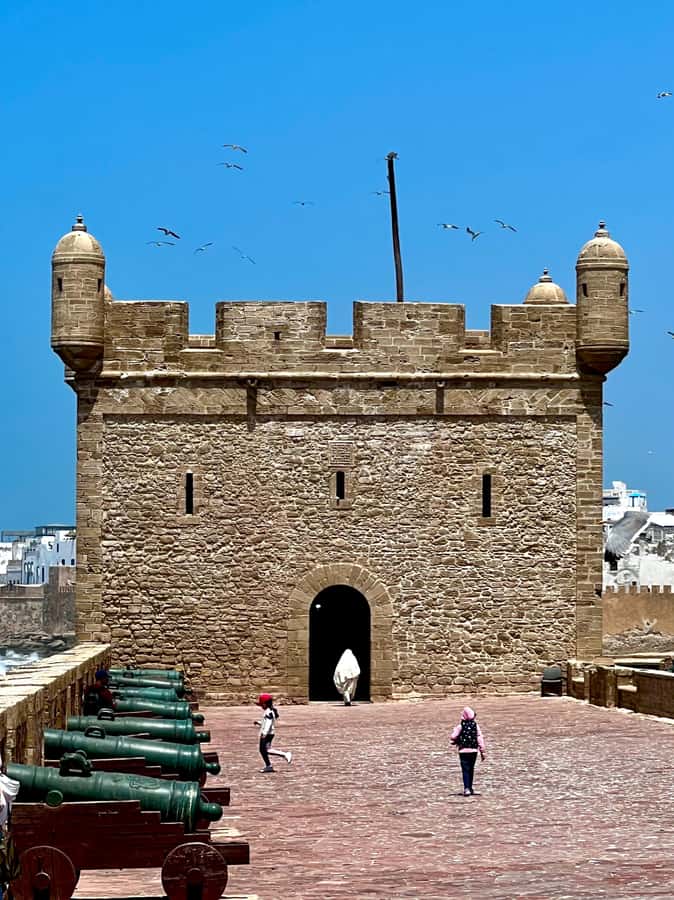 Essaouira City day Trip from Marrakech - Transport Comfort and Small Practical Concerns