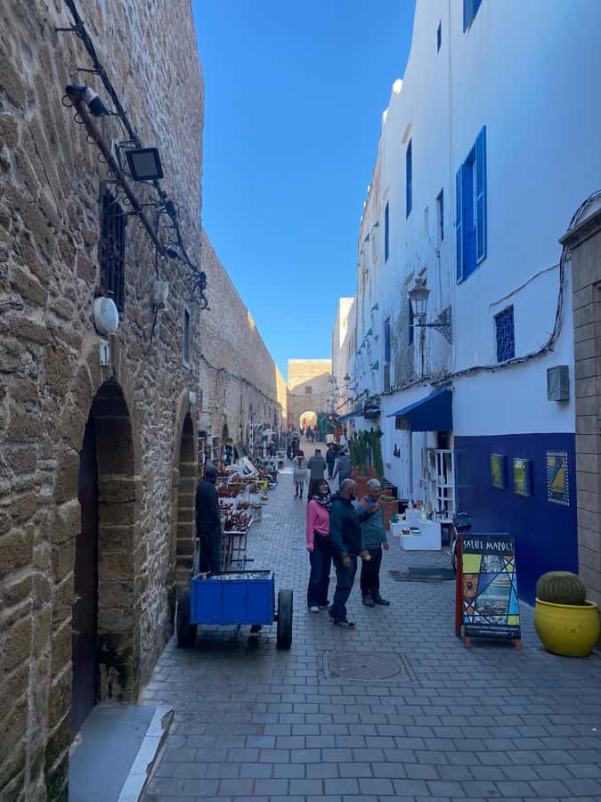 Essaouira City day Trip from Marrakech - Guides, Drivers, and the Level of Commentary
