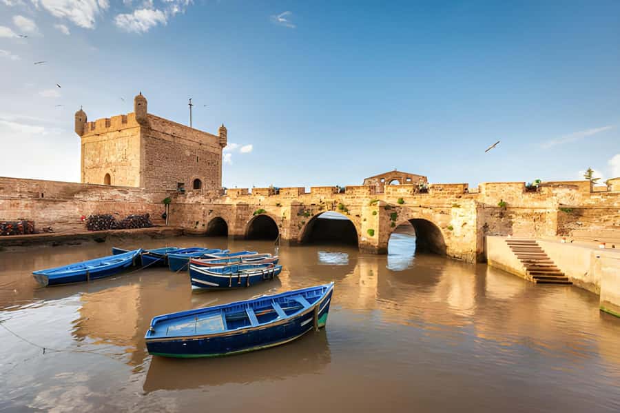 Essaouira Day Trip from Agadir - Guides, vehicles, and the practical experience