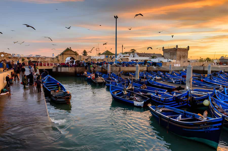 Essaouira Day Trip from Agadir - Who should book this day trip?