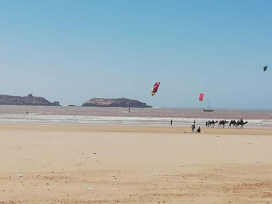 Essaouira Day Trip from Marrakech _ medina, old port - What five hours in the city really allows
