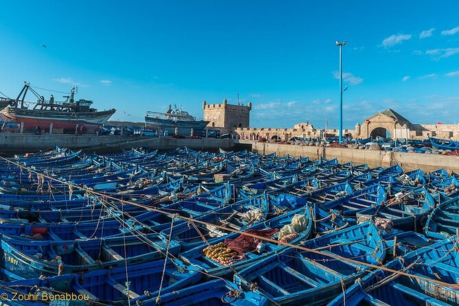 Essaouira day trip from Marrakech - The road from Marrakech to the Atlantic