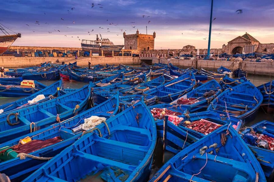 Essaouira Full Day Trip From Marrakech - Who should book this coastal day trip