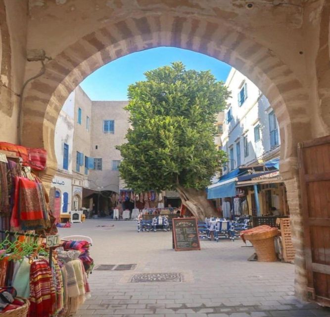 Essaouira Full Day Trip From Marrakech - Transport, group size, and the driver