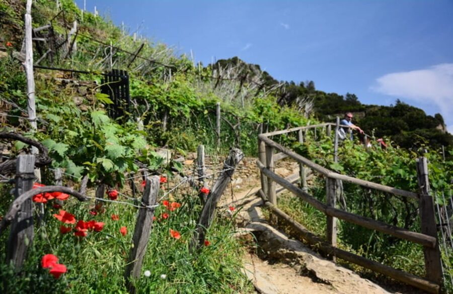 Exclusive Cinque Terre Day Trip from Florence - Who should book this experience?