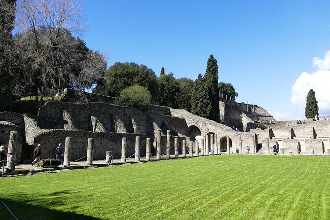 Explore Pompeii Half Day Highlights Tour with Pickup from Naples - What the two-hour Pompeii visit really covers