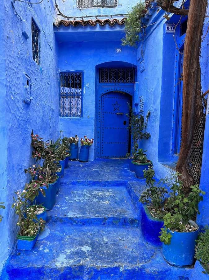 Fes to Chefchaouen Day Trip multi languages(EN/FR/ES/IT/AR) - Why Chefchaouen makes the long ride worthwhile