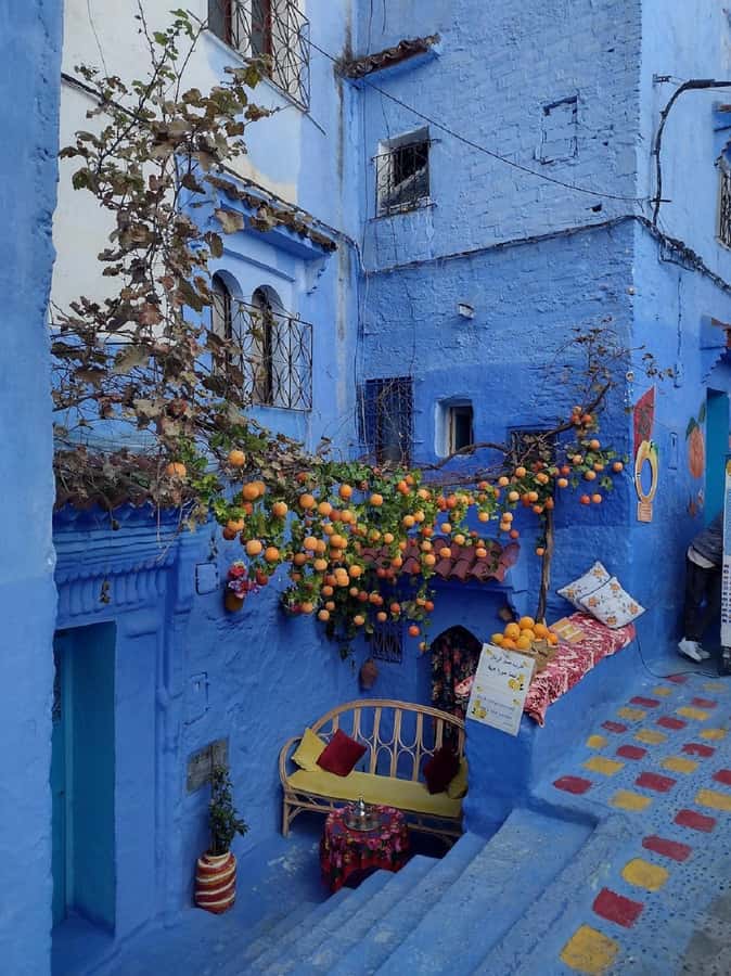 Fes to Chefchaouen Day Trip multi languages(EN/FR/ES/IT/AR) - What the price includes, and what it leaves out