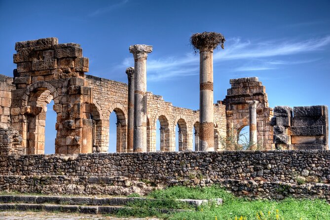 Fes to Volubilis, Moulay Idriss and Meknes Private Day Trip - Why this Fez day trip works well