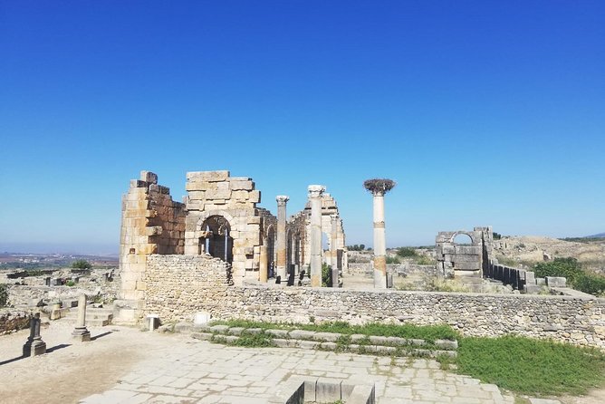 Fes to Volubilis, Moulay Idriss and Meknes Private Day Trip - What the private format really gives you