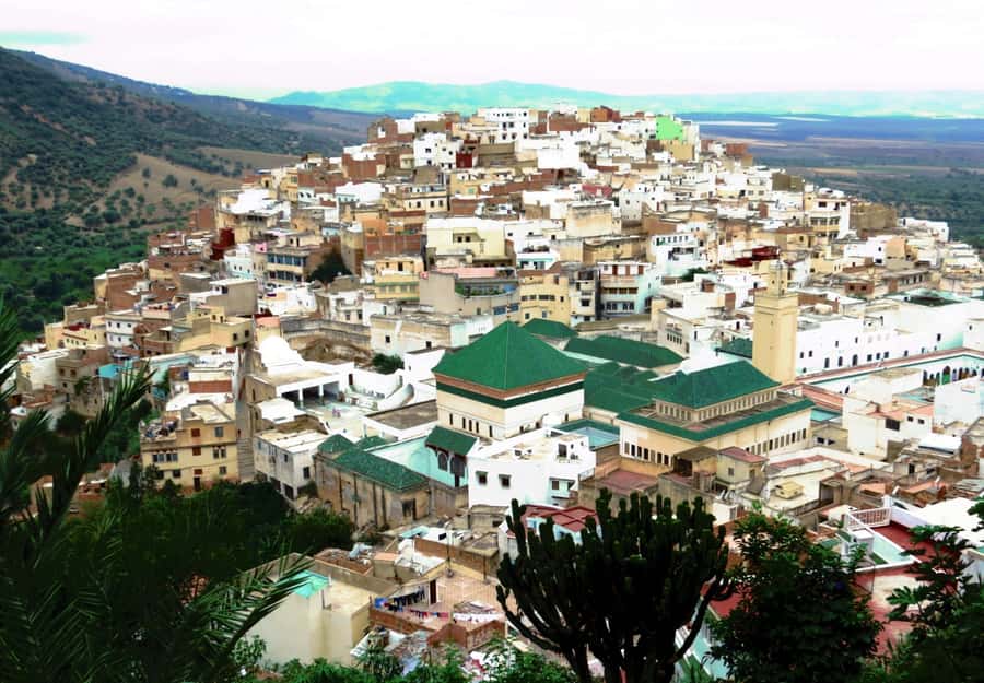 Fes: Volubilis Roman Ruins, Mouly Idriss, & Meknes Day Trip - Why this day trip makes sense from Fes
