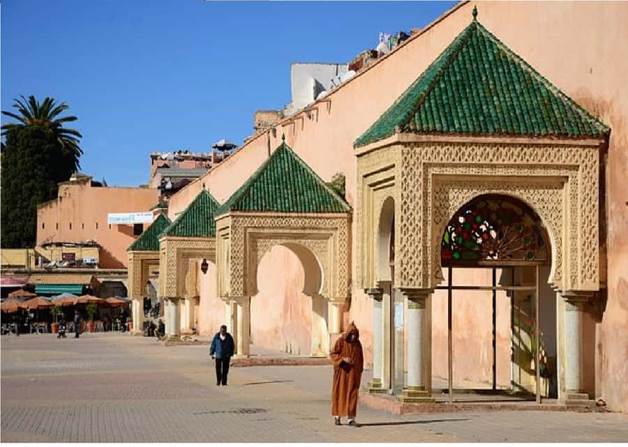 Fes: Volubilis Roman Ruins, Mouly Idriss, & Meknes Day Trip - The driver is part of the experience