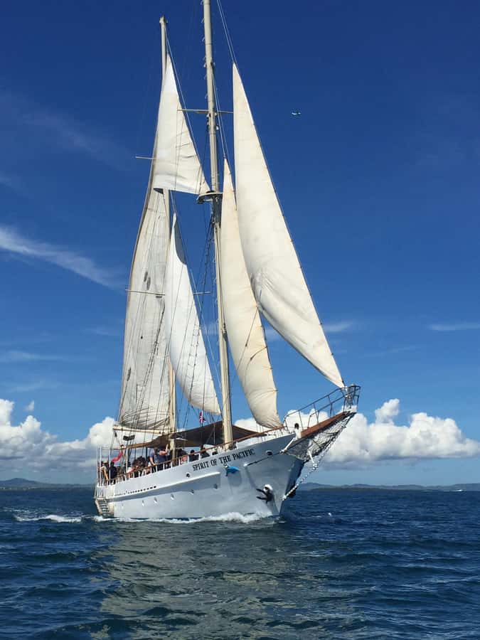 Fiji: Captain Cook Cruises - Island & Reef Day Trip - Reef time with marine biologists