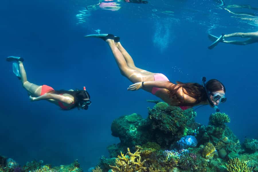 Fiji: Captain Cook Cruises - Island & Reef Day Trip - A generous buffet, with a few practical caveats