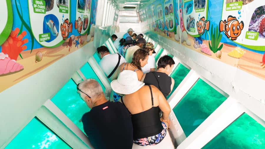Fiji: South Sea Island Half-Day Trip with Lunch - Who will enjoy South Sea Island most?