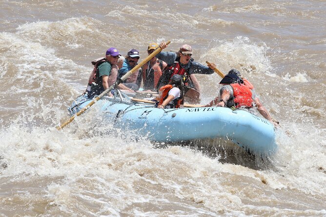 Fisher Towers Half-Day Rafting Day Trip from Moab - Colorado River: float, splash, and wildlife