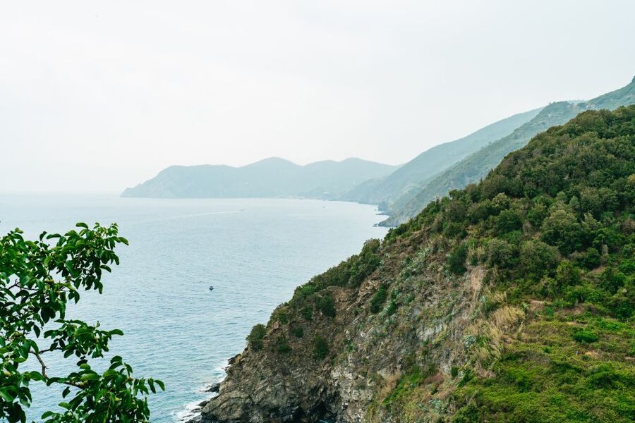Florence: Cinque Terre Day Trip with Optional Hiking or Pisa - The Pisa option suits a different kind of day