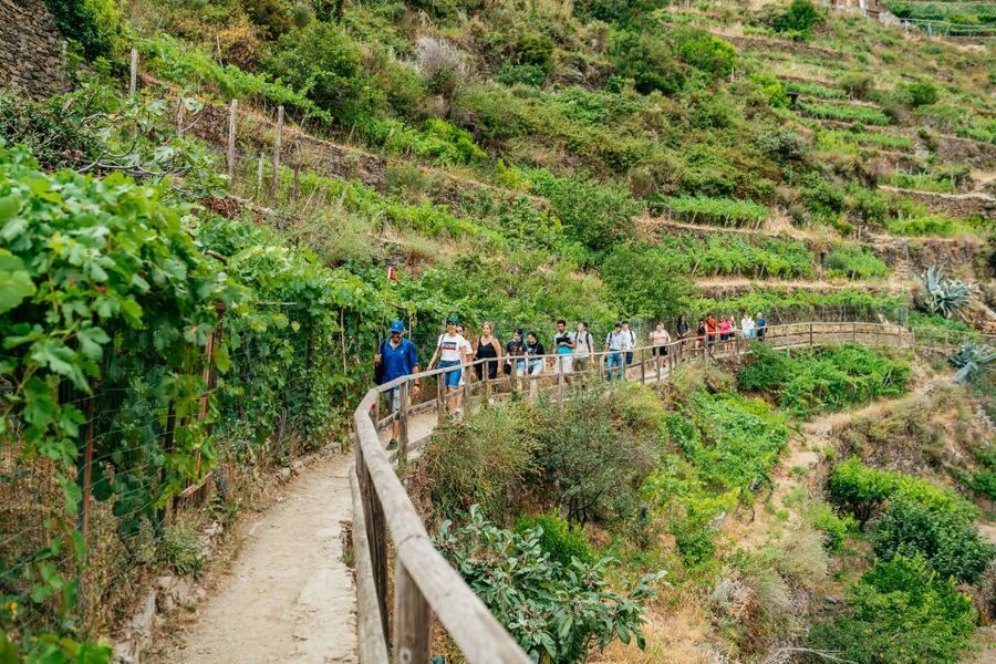Florence: Cinque Terre Day Trip with Optional Hiking or Pisa - Why this Florence day trip works
