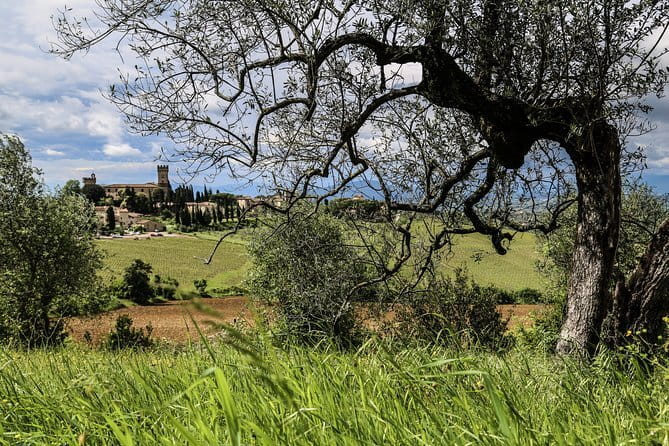 Florence: Day Trip with Free Time in San Gimignano and Siena - Walking, Weather, and Accessibility