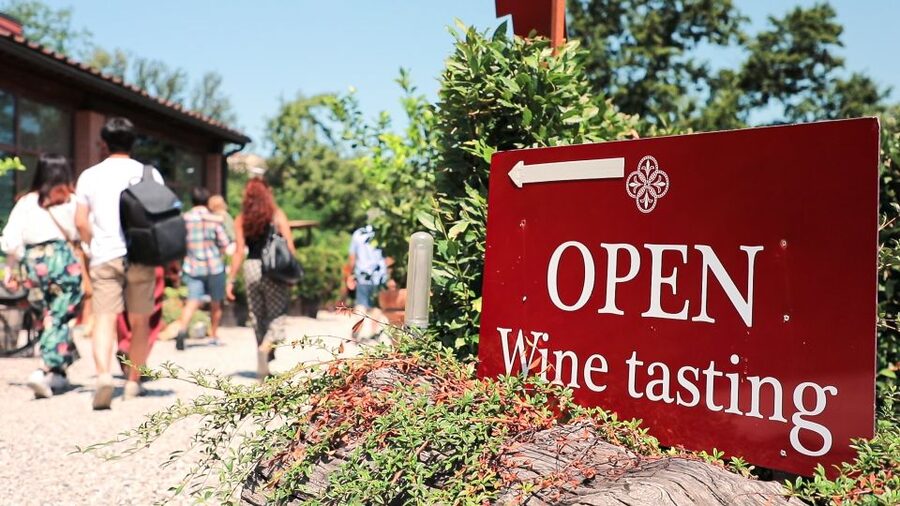 Florence: Pisa, Siena, S. Gimignano, Chianti Wine & Lunch - Who should book this Florence day trip?