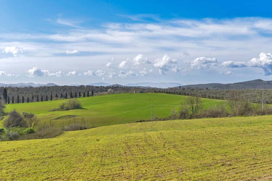 Florence: San Gimignano & Volterra Day Trip with Food & Wine - Lunch with Tuscan food and countryside views