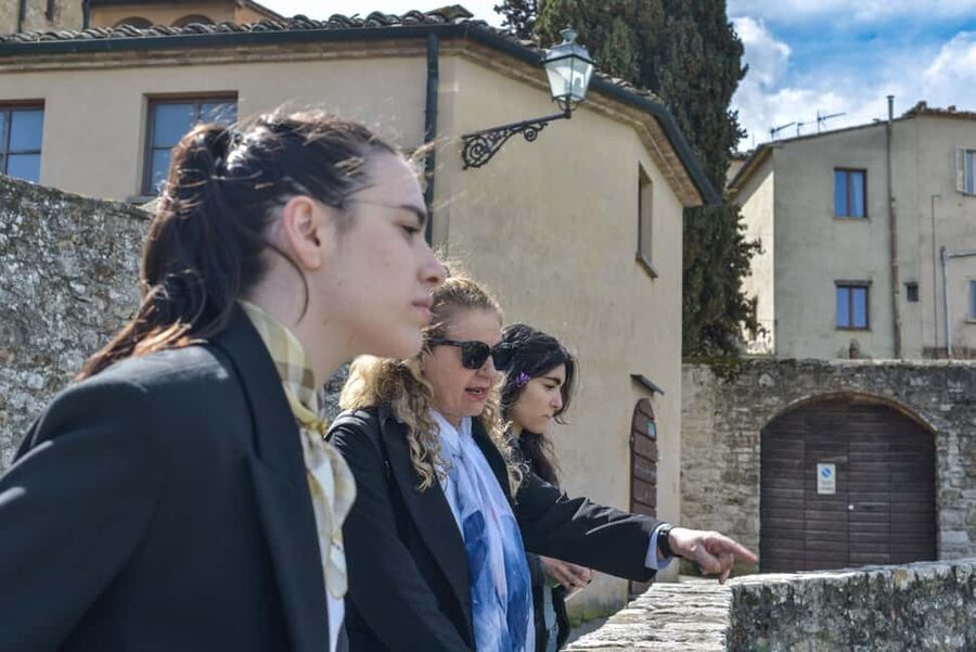 Florence: San Gimignano & Volterra Day Trip with Food & Wine - San Gimignano and the town of many towers