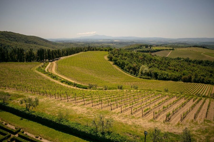 Florence: Tuscany Chianti Winery Private Day-Trip with Lunch - Montefioralle and its stone lanes