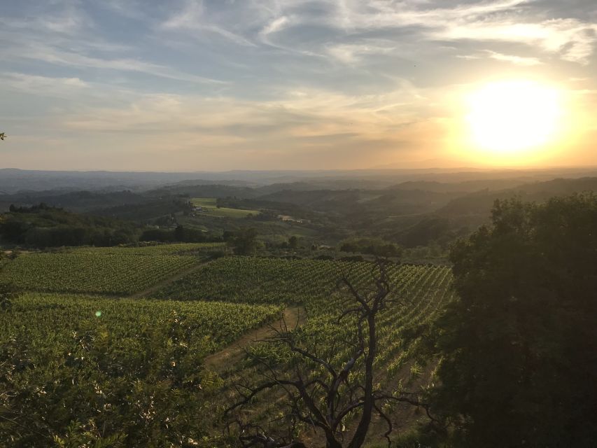 Florence: Tuscany Chianti Winery Private Day-Trip with Lunch - The guide can shape the whole day