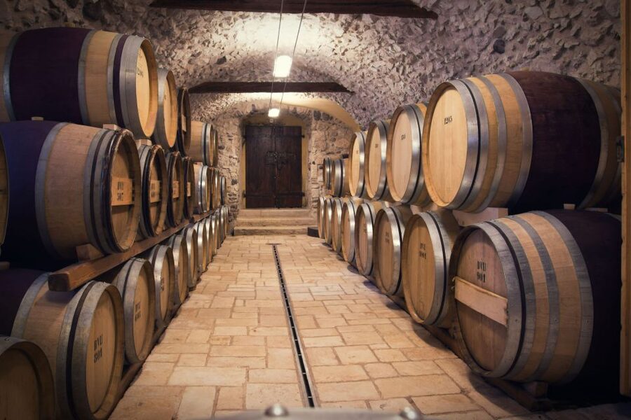 Florence: Wineries, Tastings, Lunch & San Gimignano Day Trip - Group size, comfort, and the pace of the day