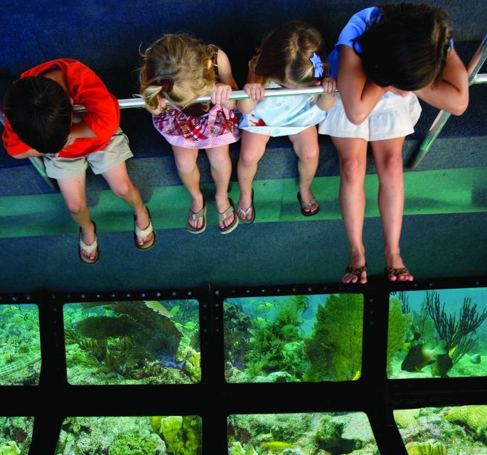 Fort Lauderdale: Key West Day Trip with Optional Activities - Building a six-hour plan