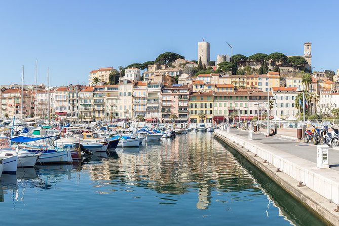 French Riviera Cannes to Monte-Carlo Discovery Small Group Day Trip from Nice - The Mercedes minivan and the guide make the difference