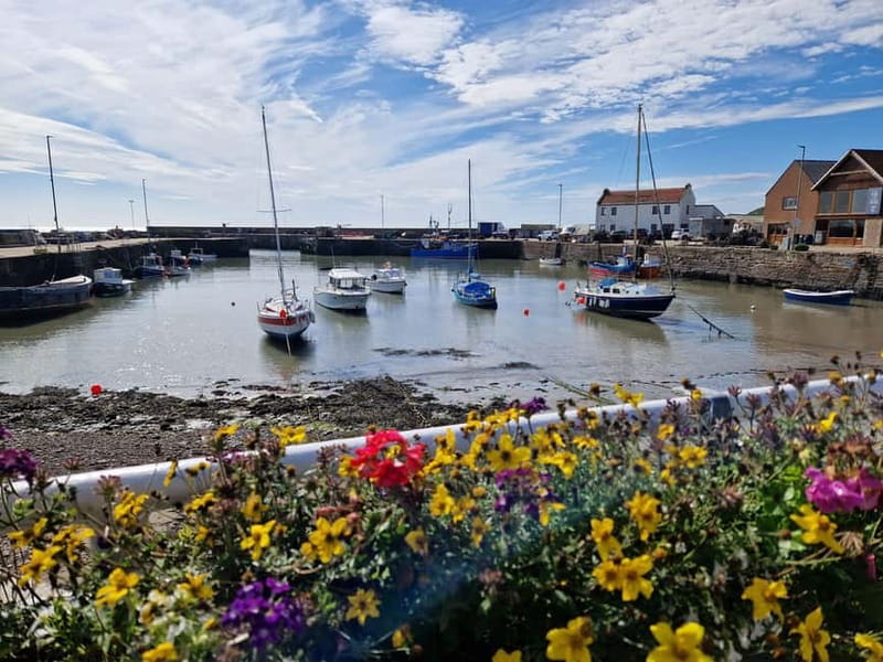 From Aberdeen: Guided Day Trip, Coast & Castle Visit - Key points at a glance