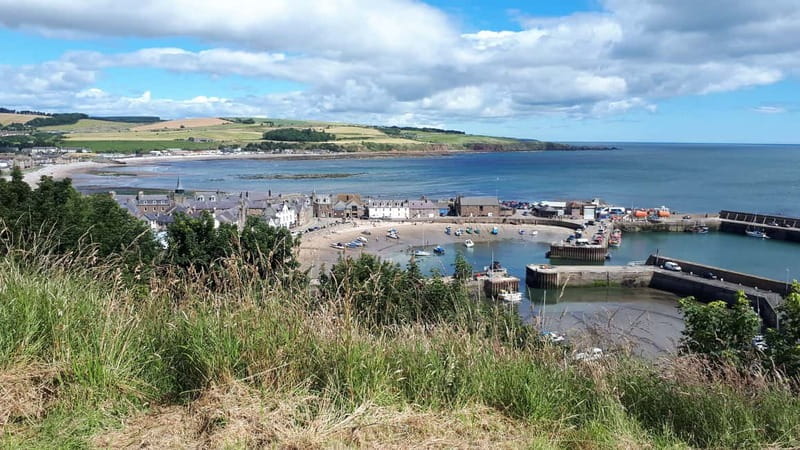 From Aberdeen: Guided Day Trip, Coast & Castle Visit - Why this Aberdeenshire day trip works